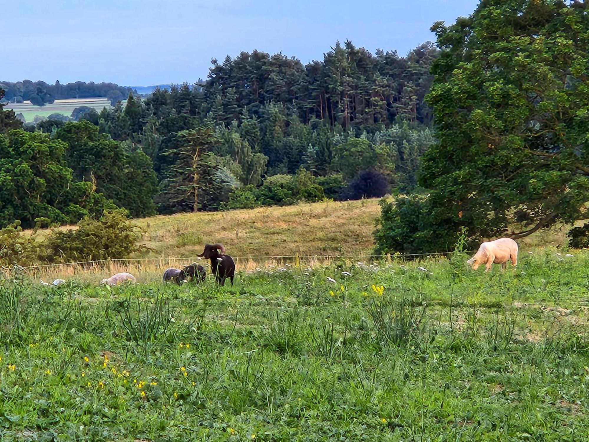 Langriggs At Wetheral Cottages Great Salkeld ภายนอก รูปภาพ
